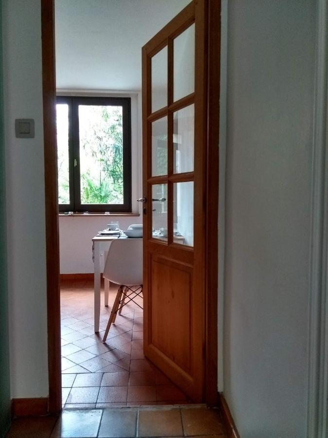 Number15 Guesthouse Carcassonne Eksteriør billede