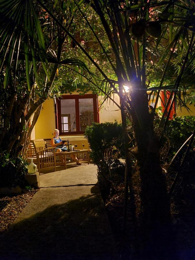 Number15 Guesthouse Carcassonne Eksteriør billede